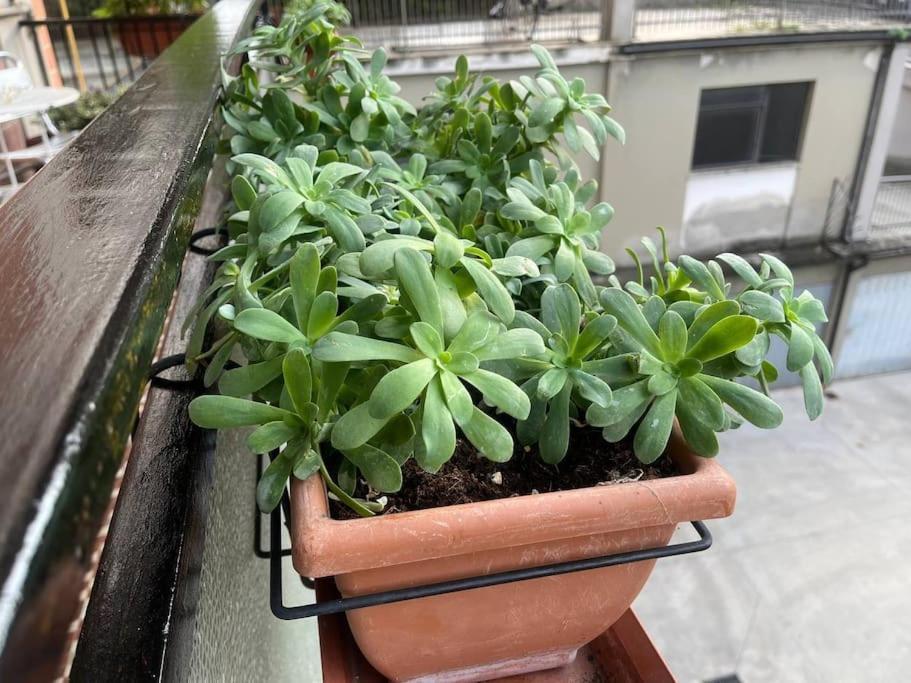 Appartamento Spazioso In Centro Piacenza Exterior foto